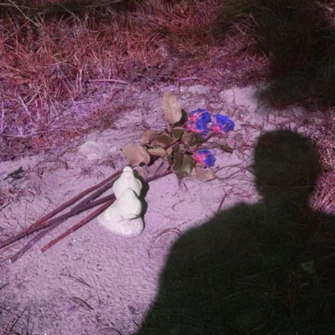 Sleepdealer Brand Page