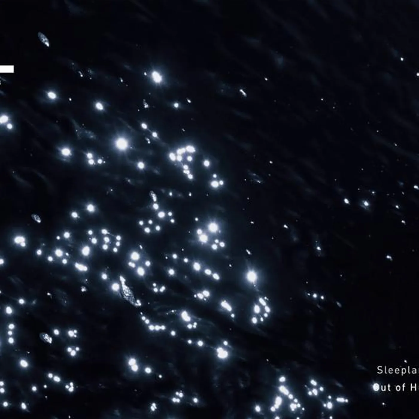 Sleepland Brand Page