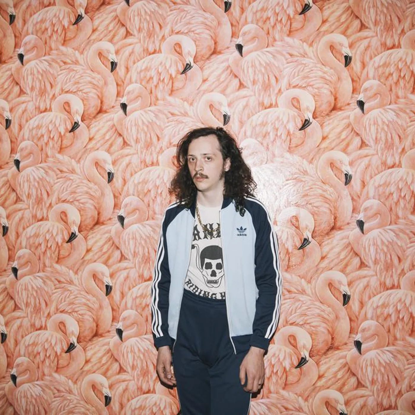 Slim Twig Brand Page