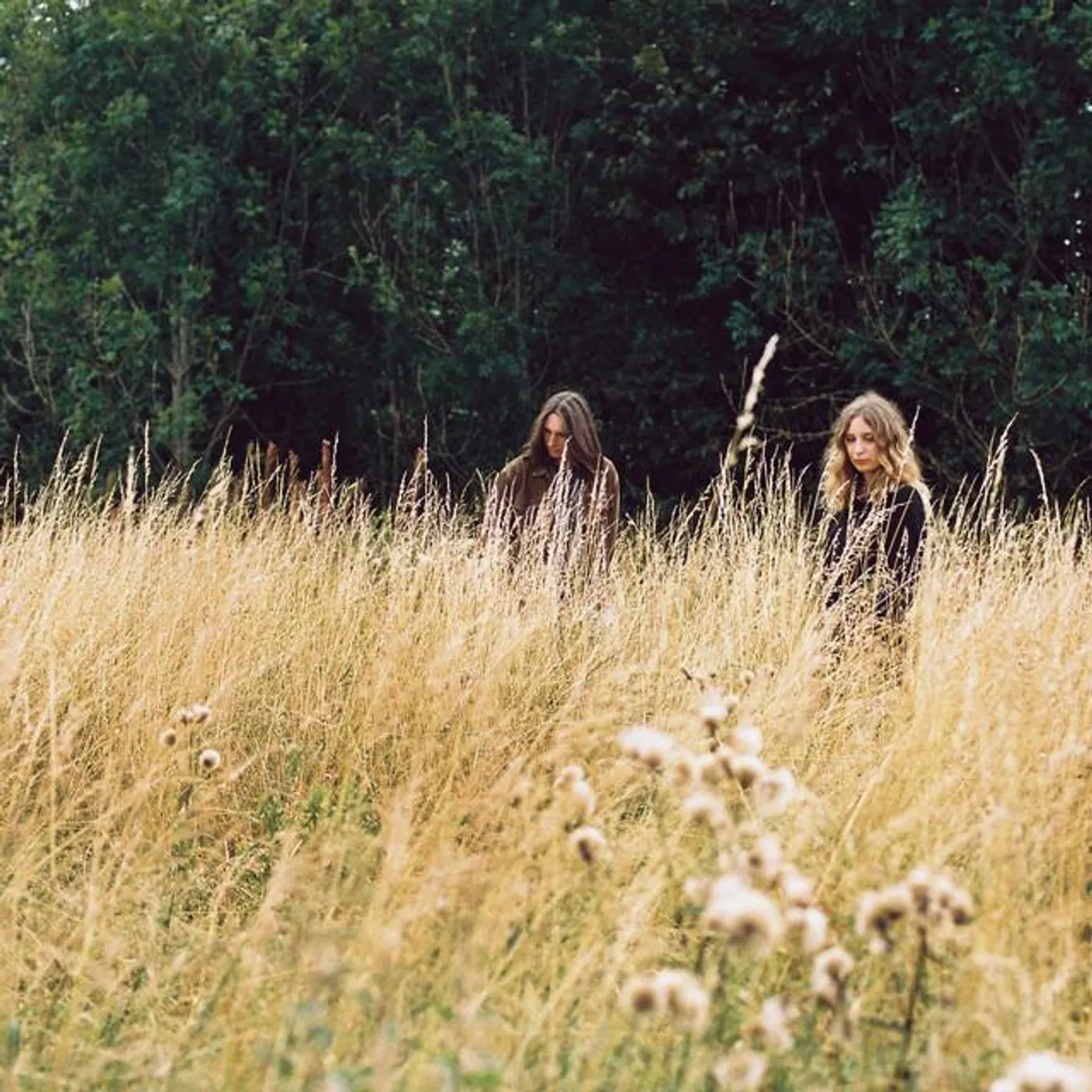 Slow Weather Brand Page