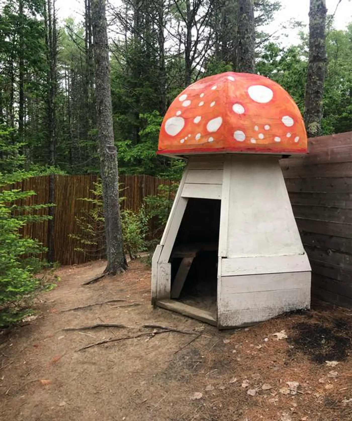 Slow Burning Daydream