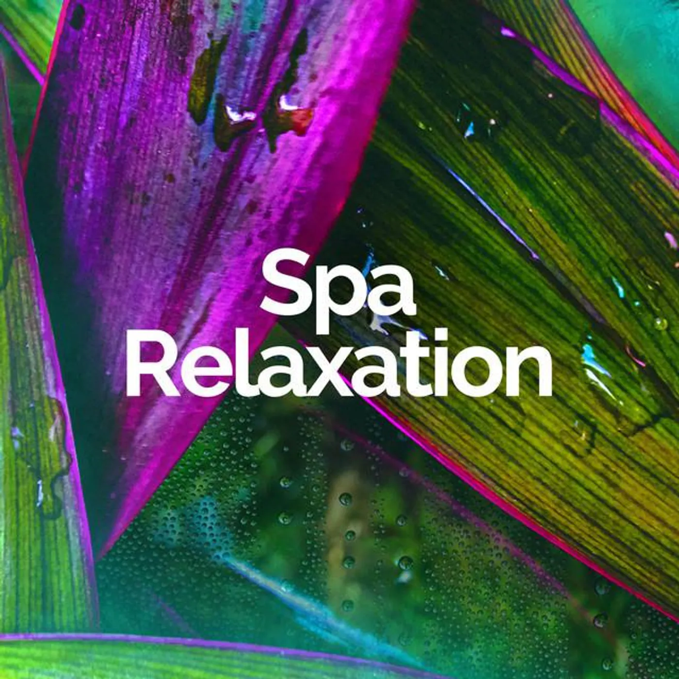 Spa Relaxation Brand Page