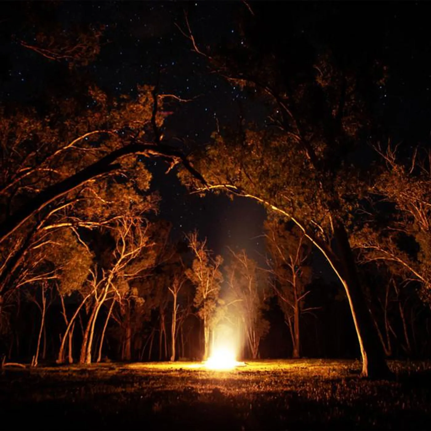 Space Bong Brand Page