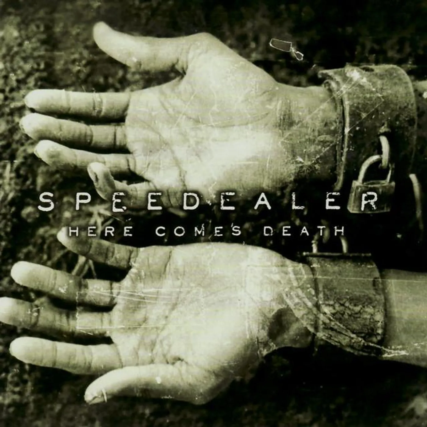 Speedealer Brand Page