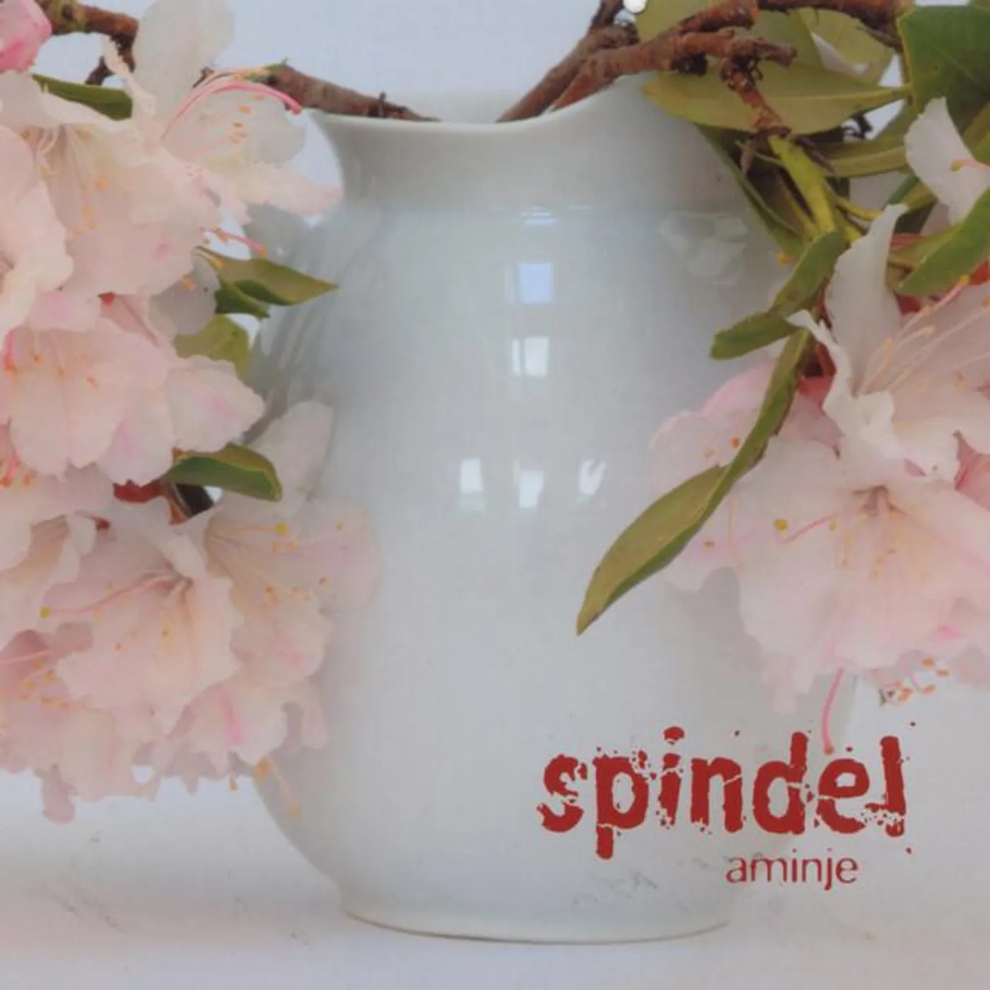 Spindel