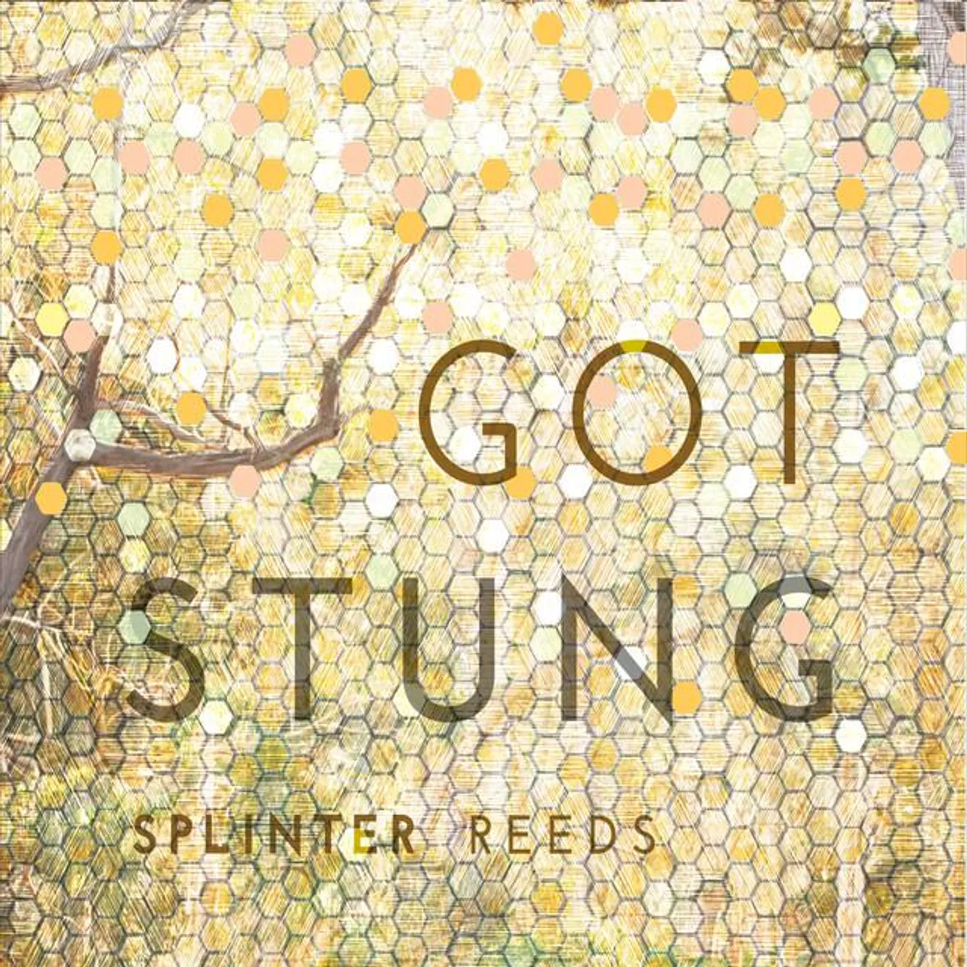 Splinter Reeds Brand Page