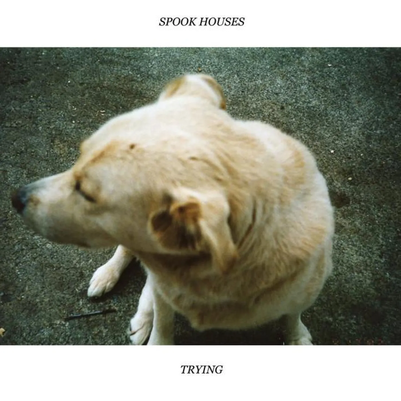 Spook Houses Brand Page