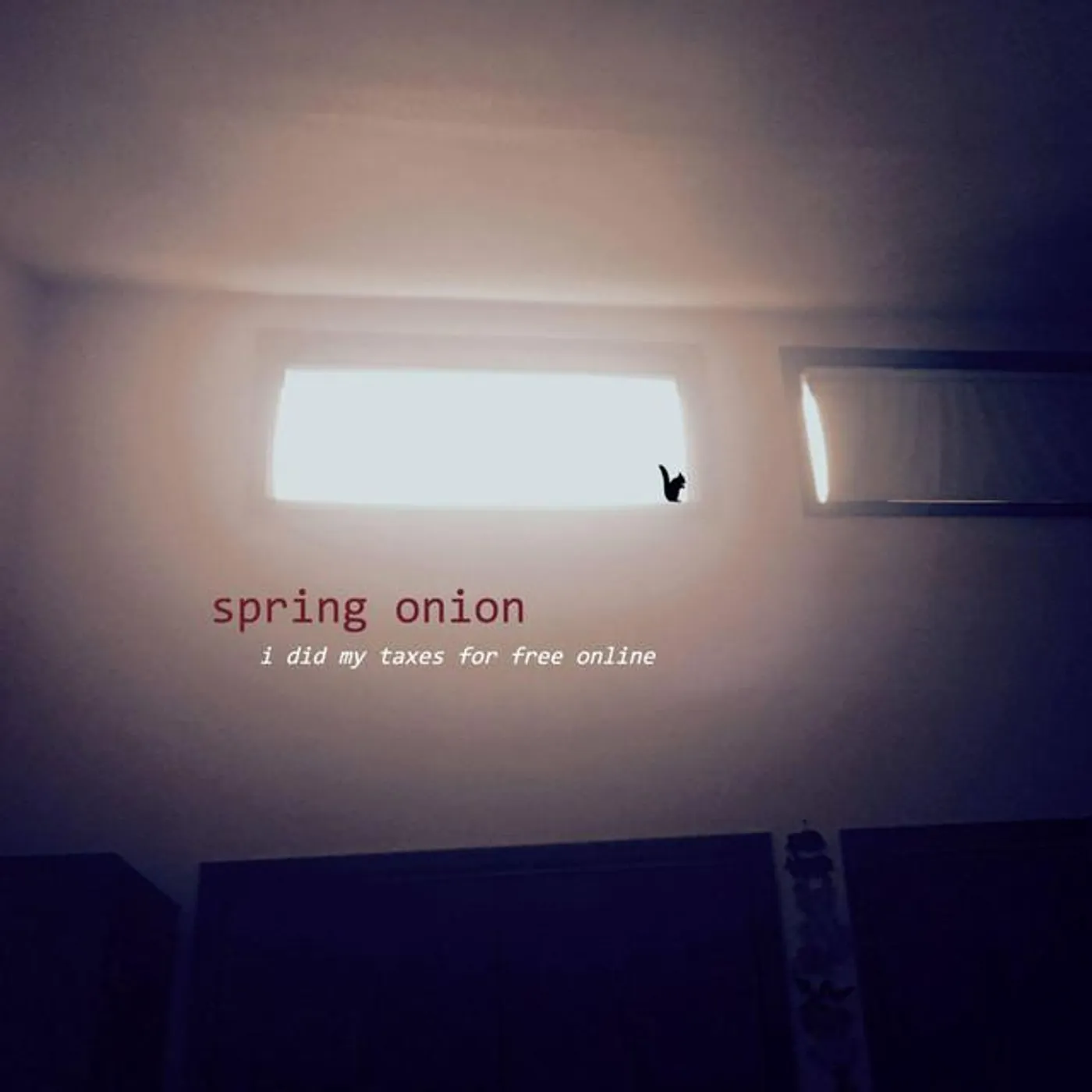 Spring Onion