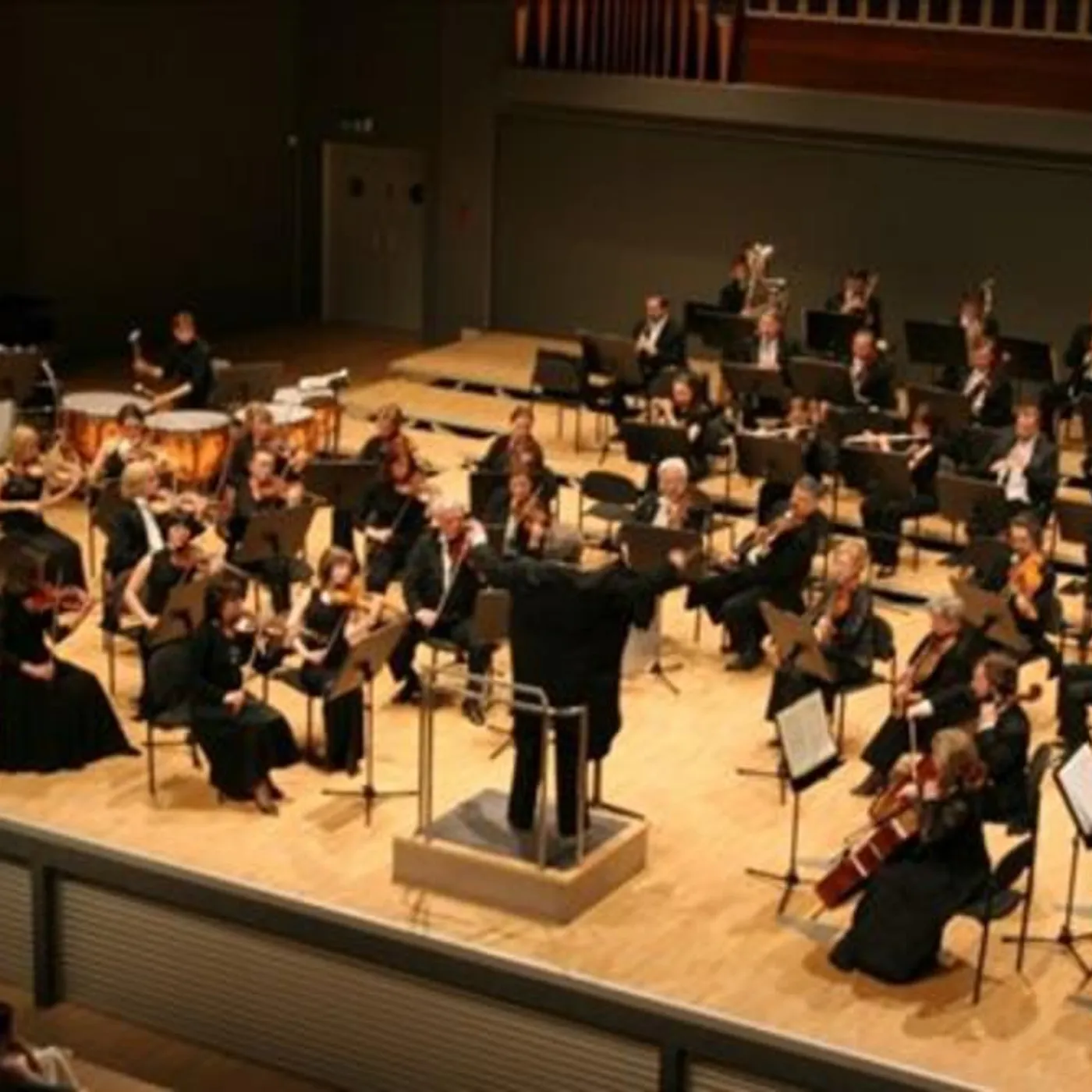 St. Petersburg State Symphony Orchestra