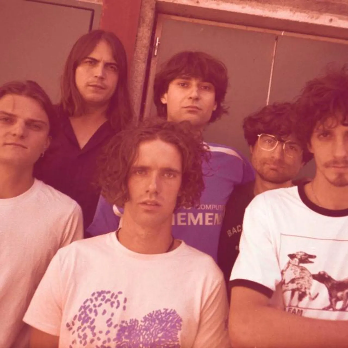 Stuffed Foxes Brand Page