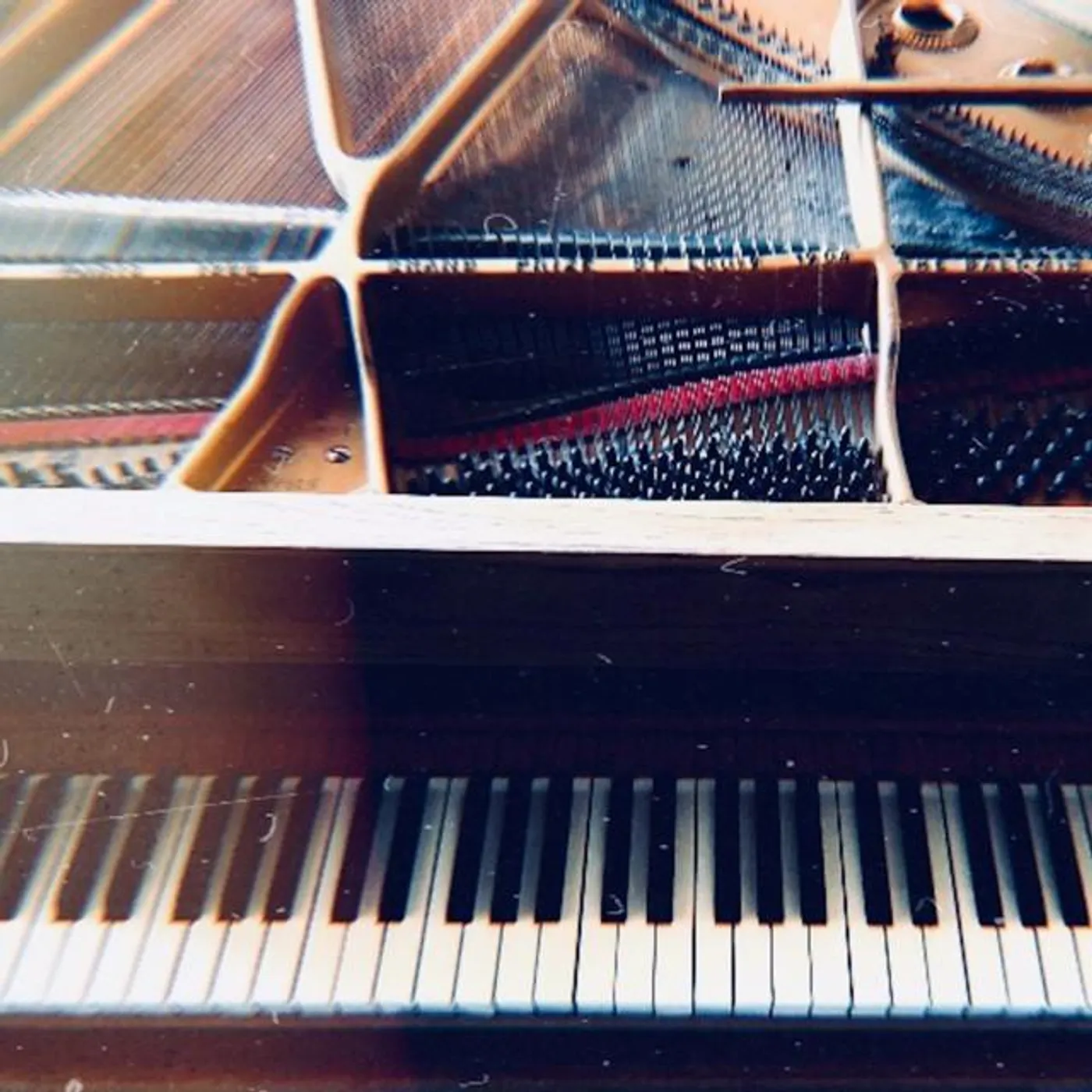 Stushnoff Brand Page