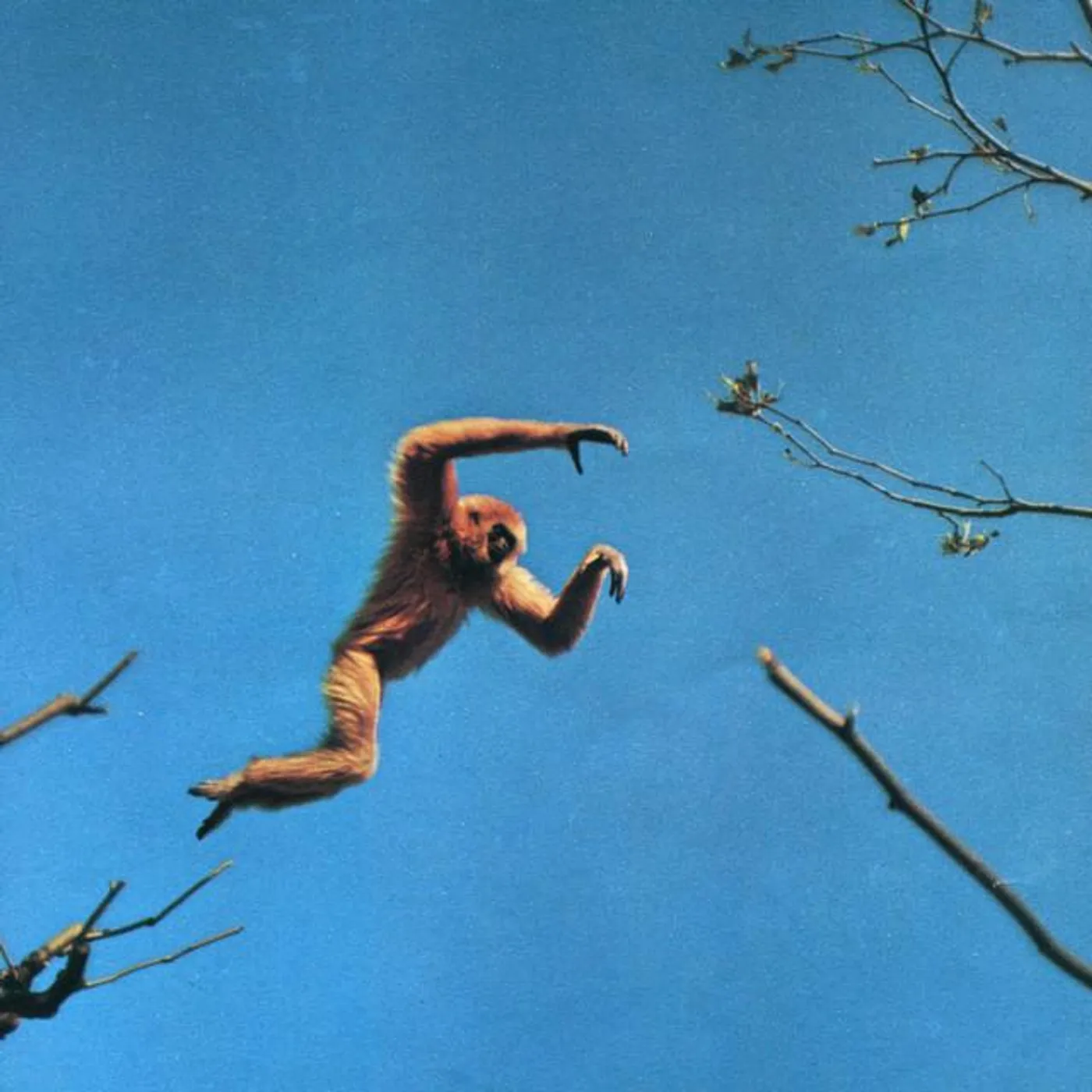 Star Club West Brand Page