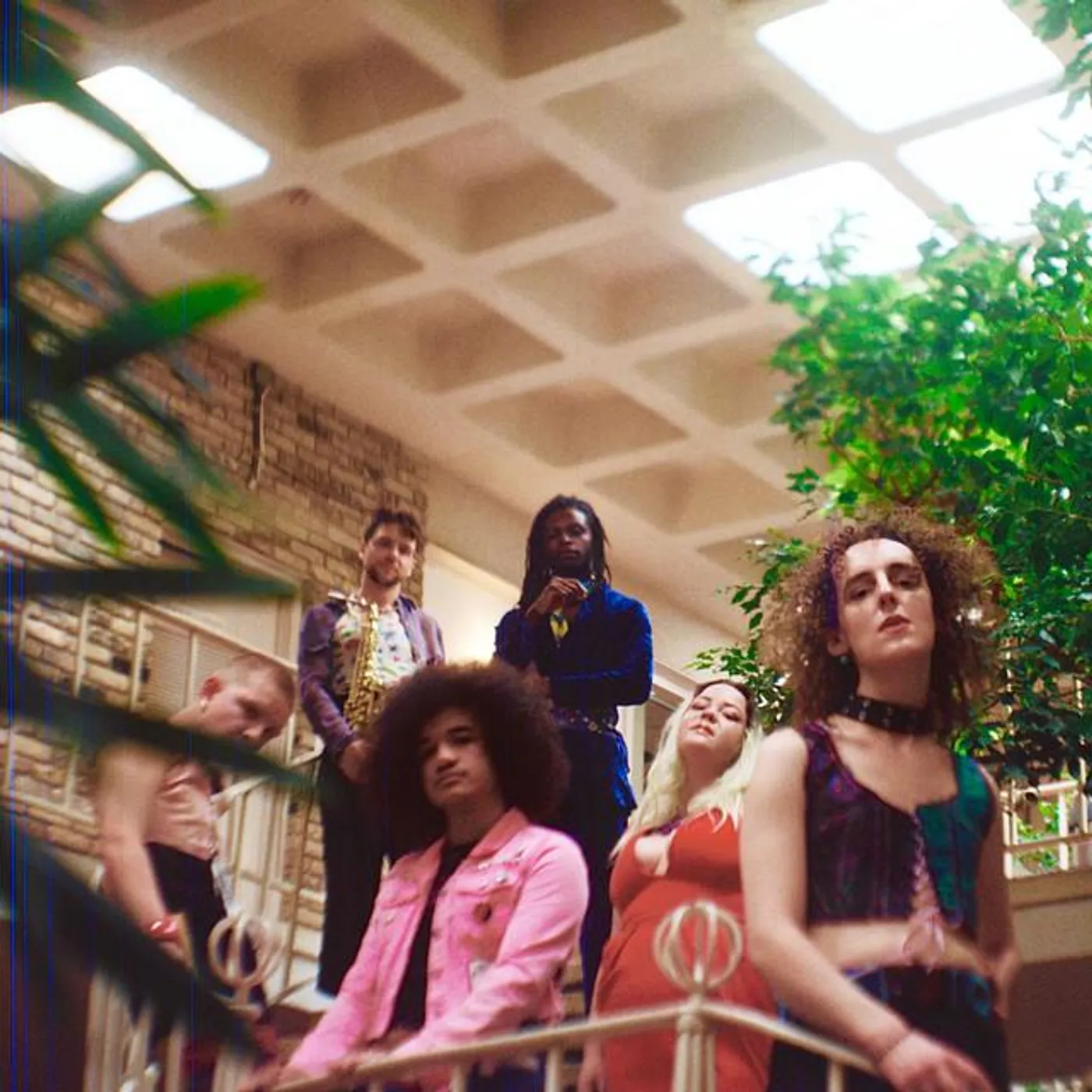 Starfruit Brand Page