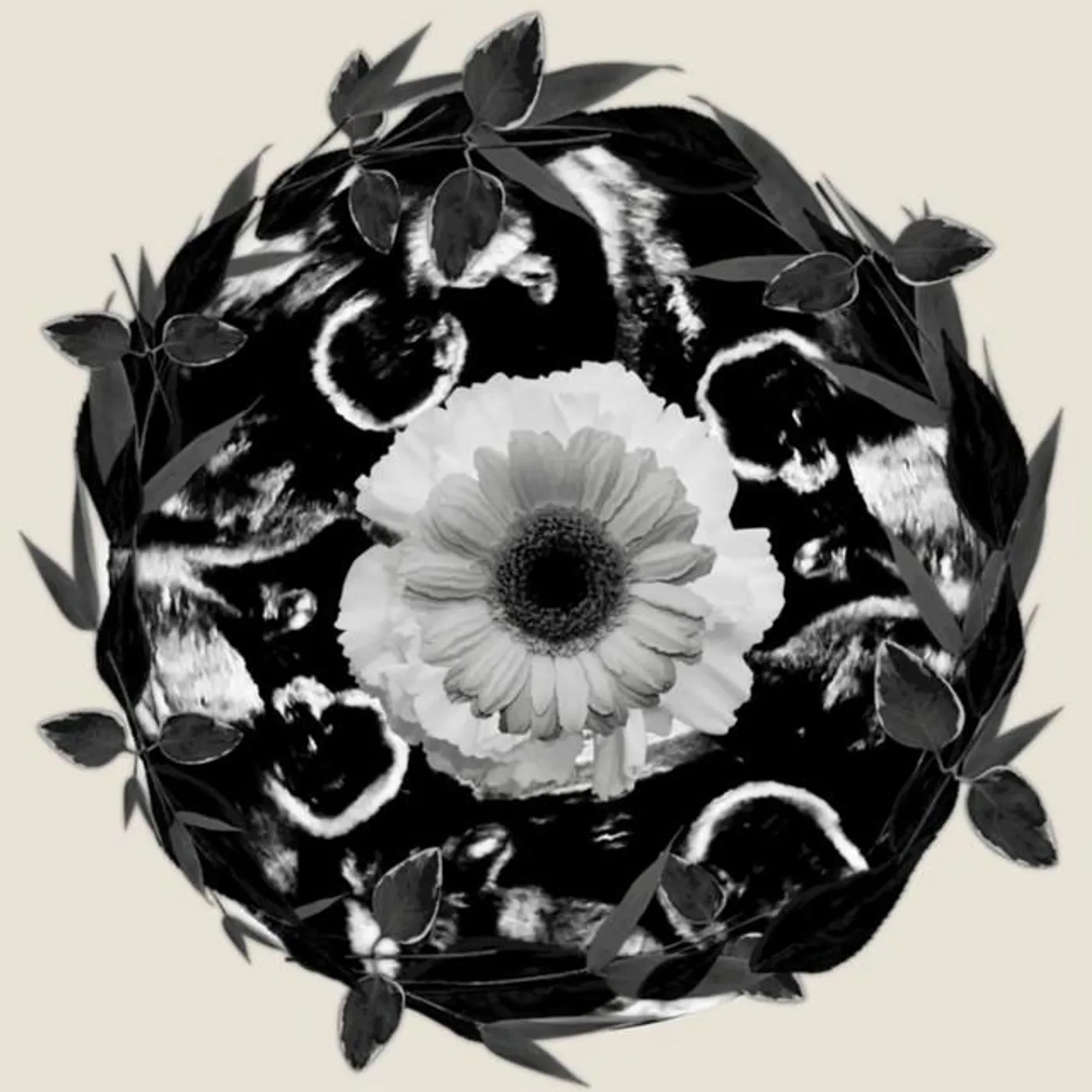 Starsailor Brand Page