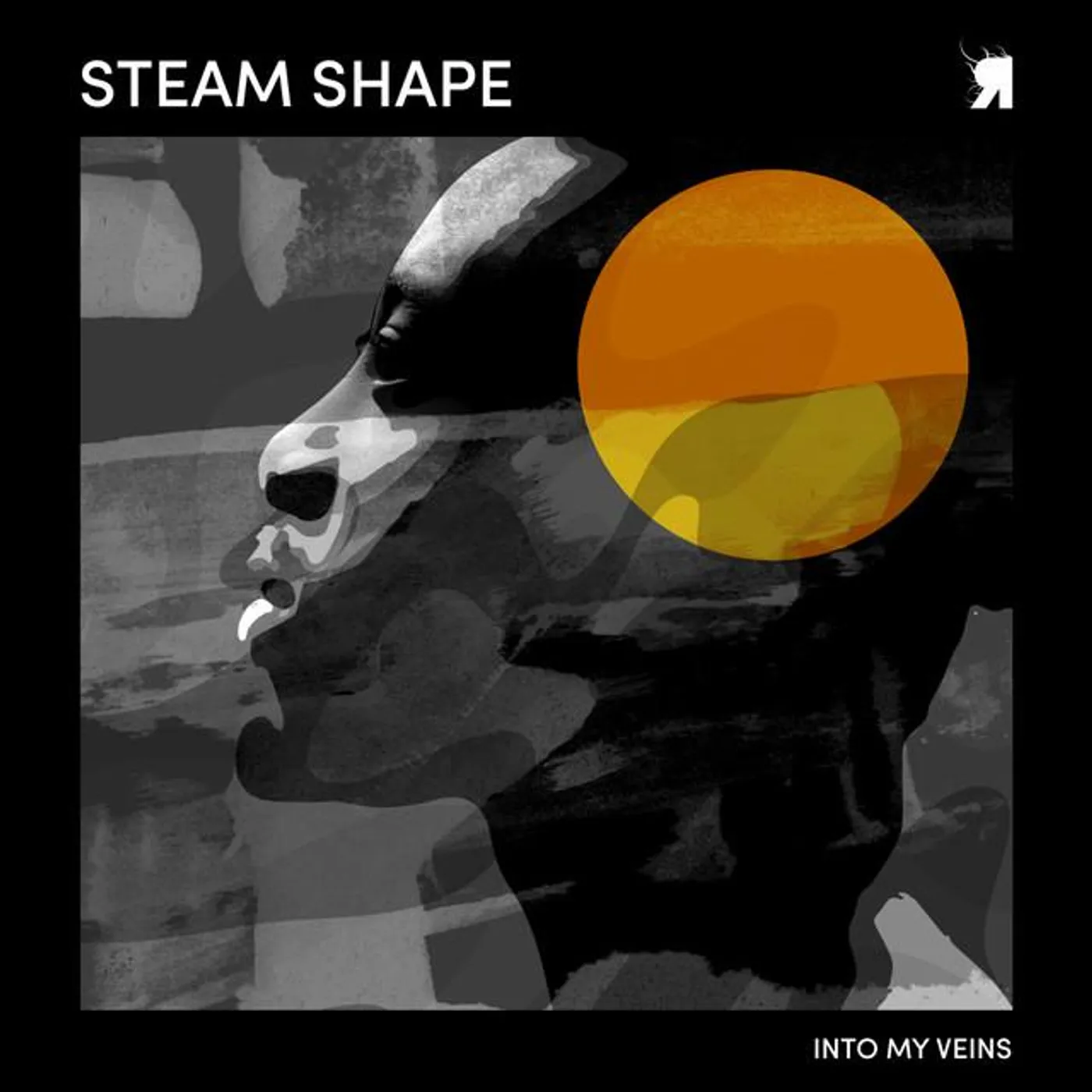 Steam Shape Brand Page