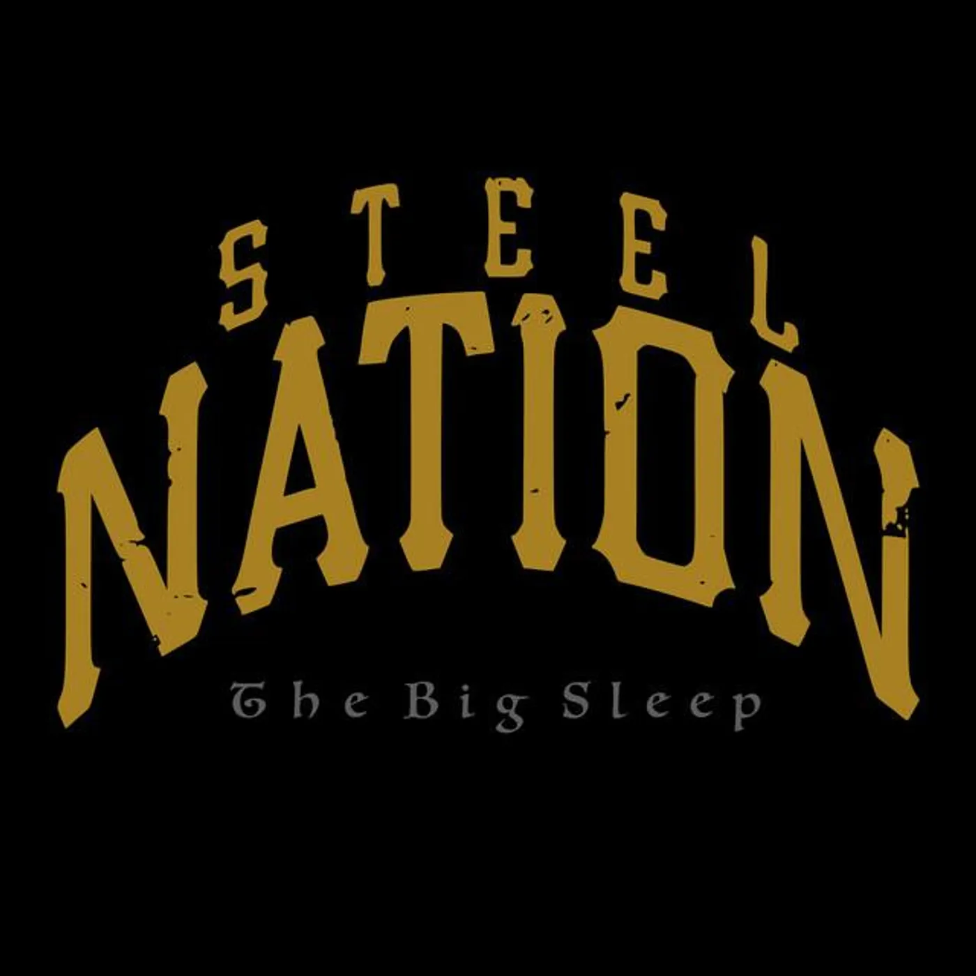 Steel Nation Brand Page