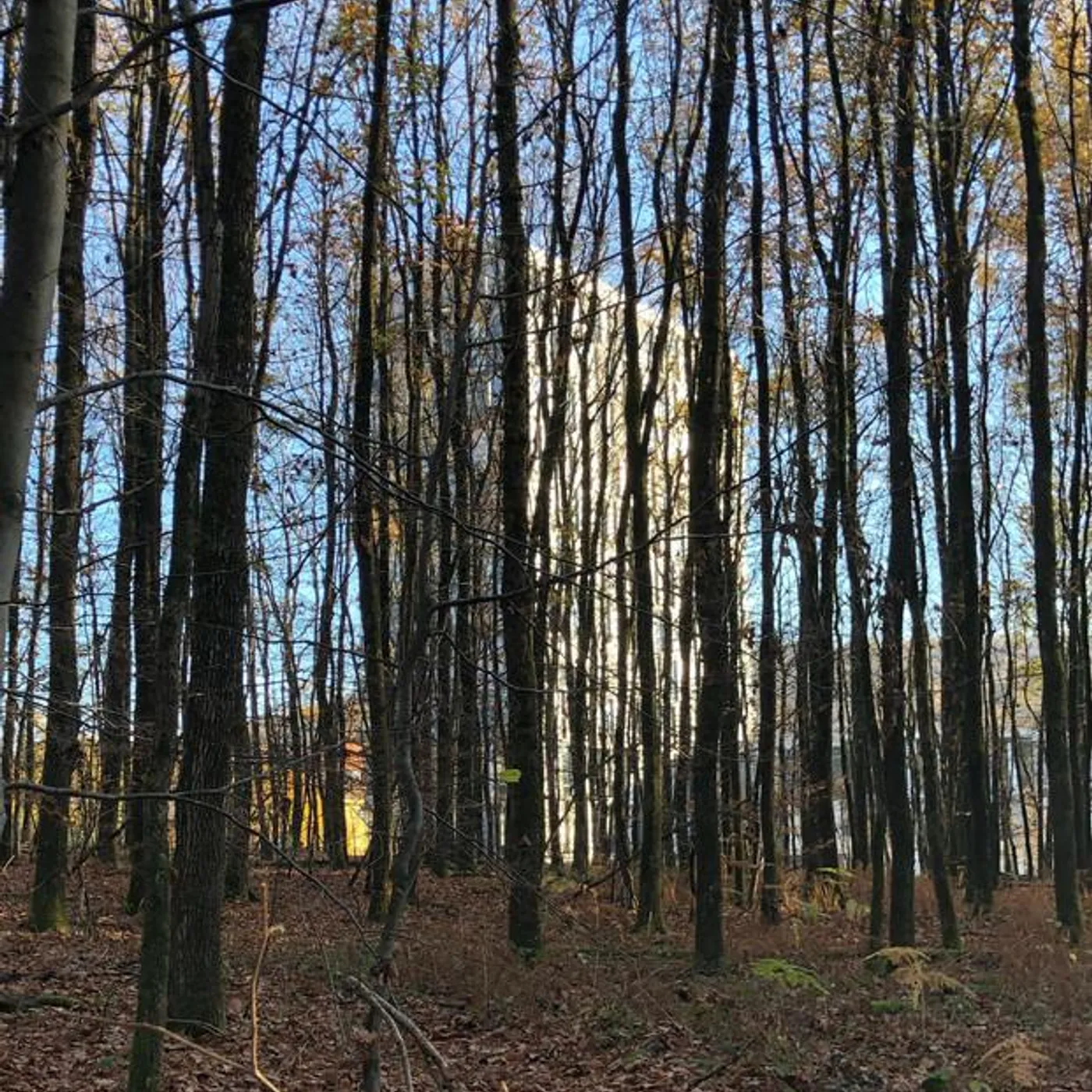 Stefan Kranz Brand Page