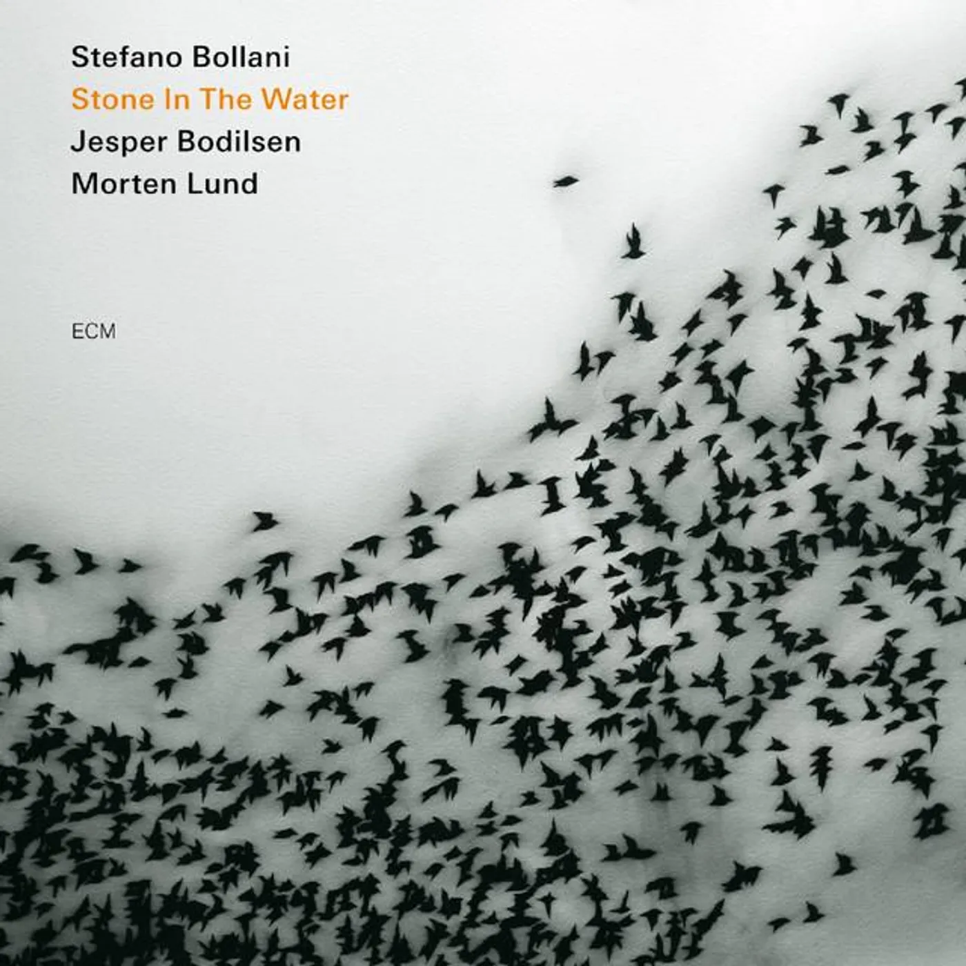 Stefano Bollani Trio Brand Page