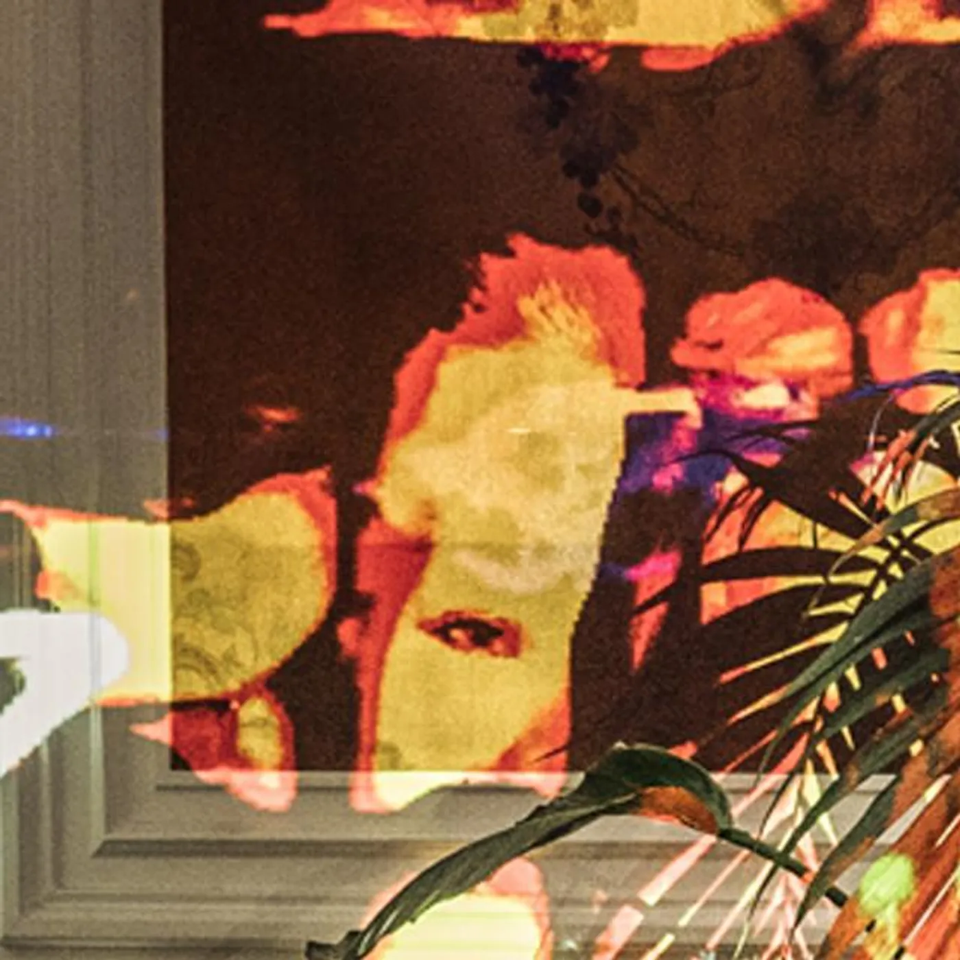 Stellar Legions Brand Page