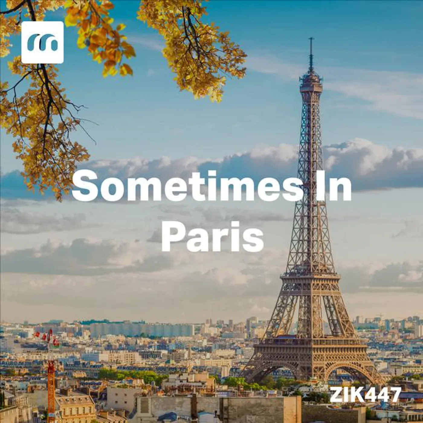 Stephane Caisson Brand Page