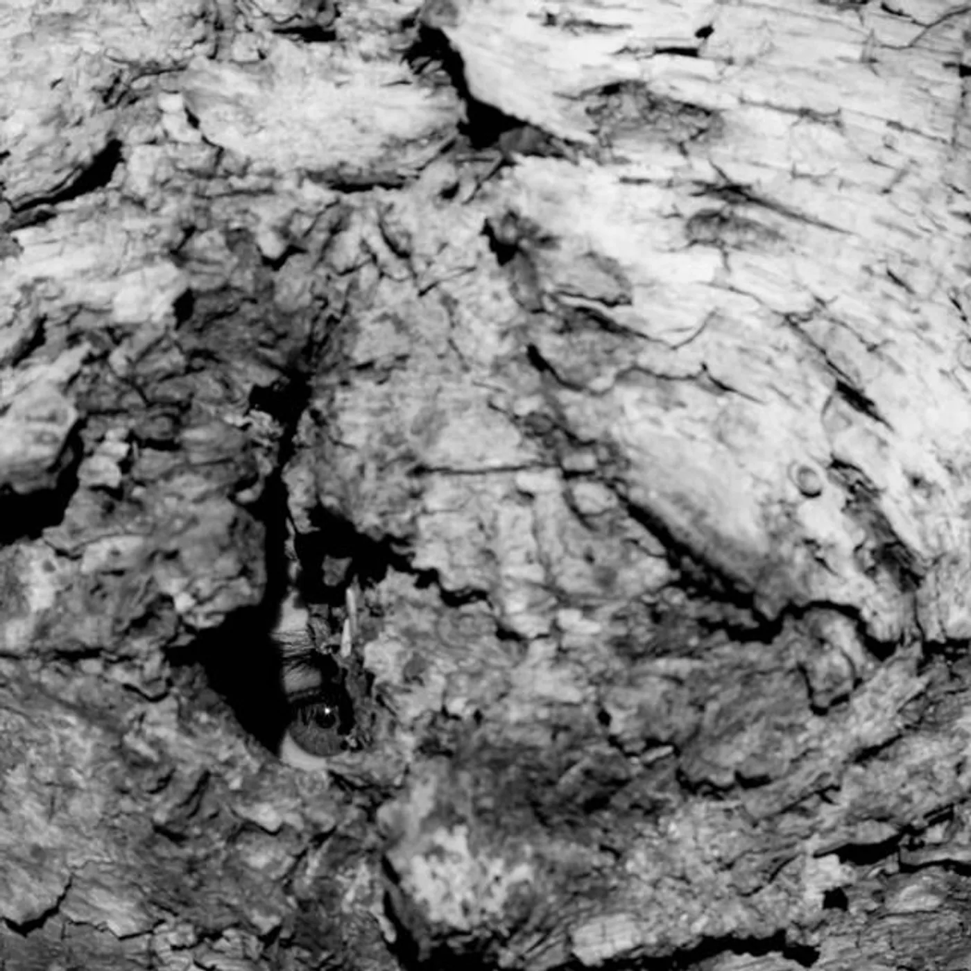 Stephen Vitiello Brand Page