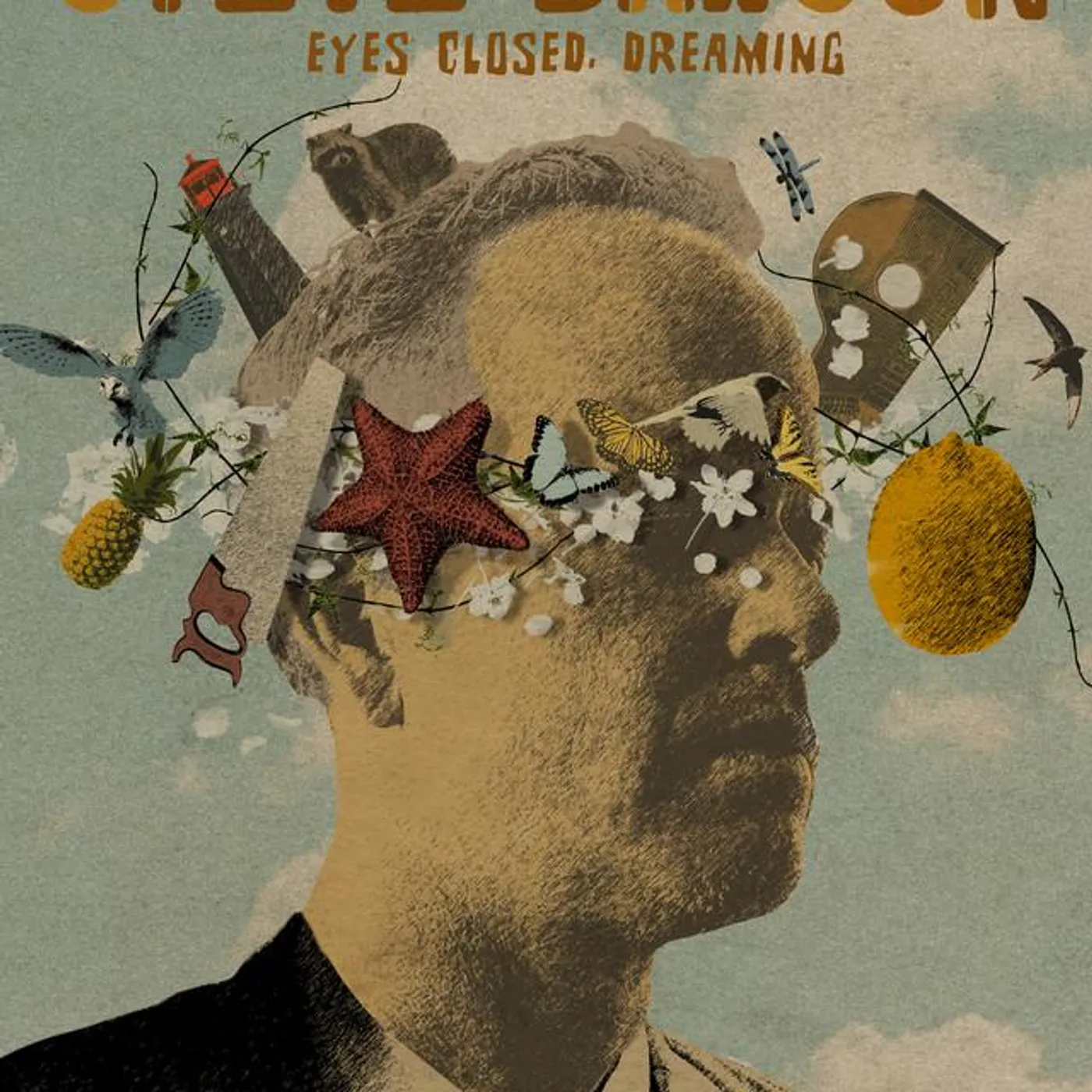 Steve Dawson Brand Page