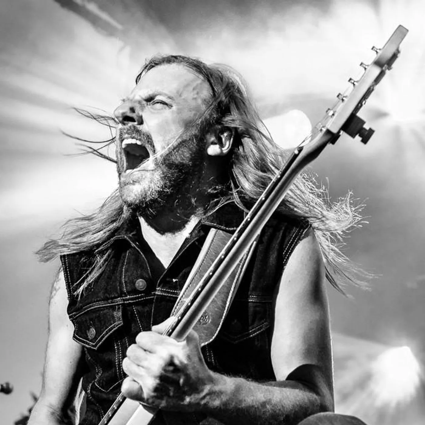 Steve Hill Brand Page