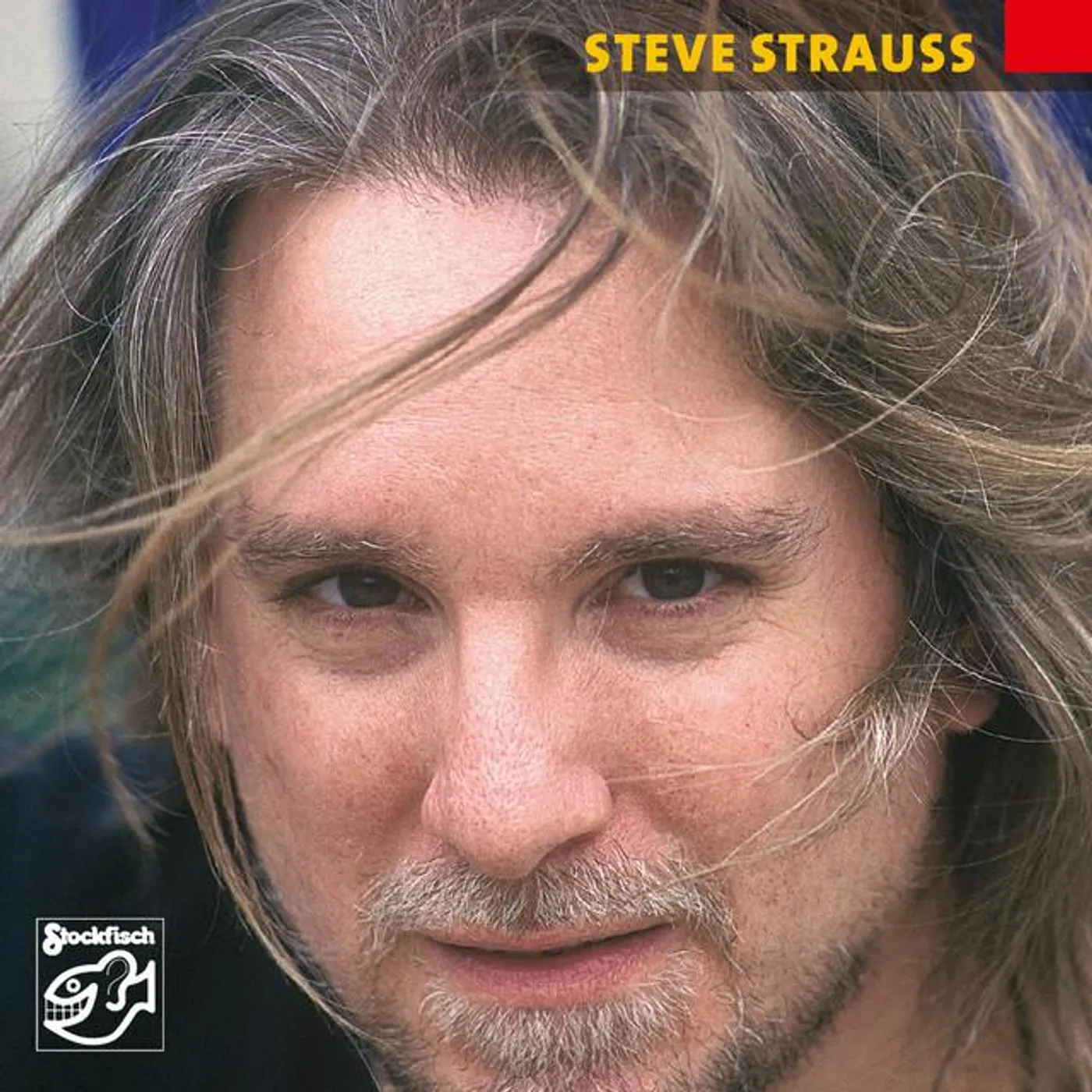 Steve Strauss Brand Page