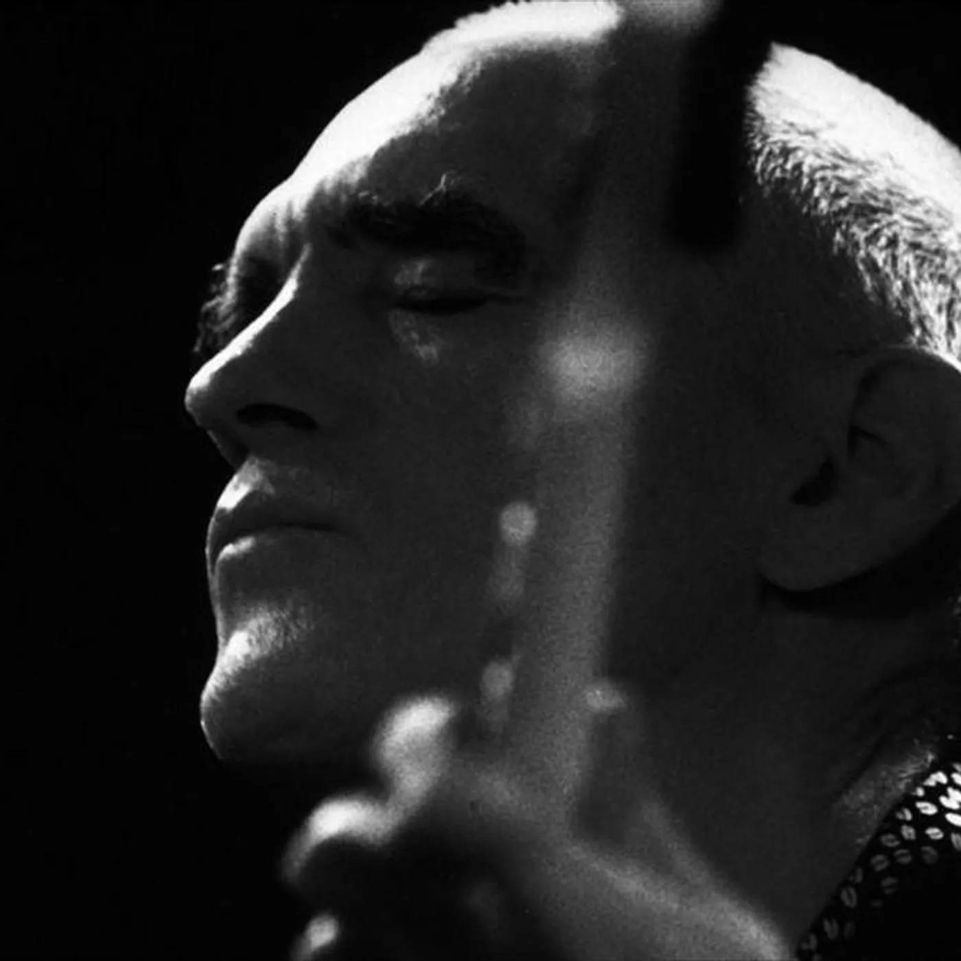 Steve Swallow Brand Page