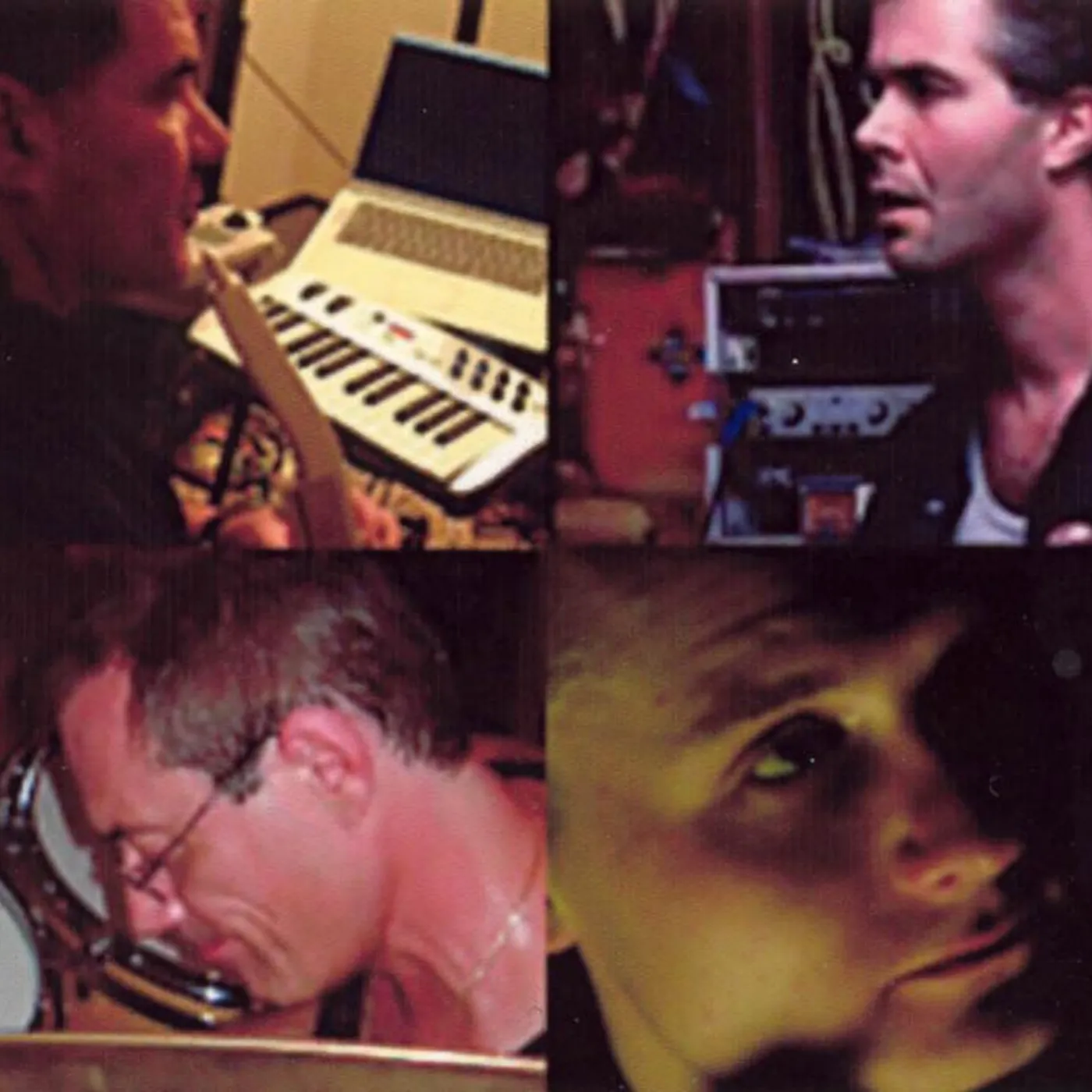 Steve Tavaglione Brand Page