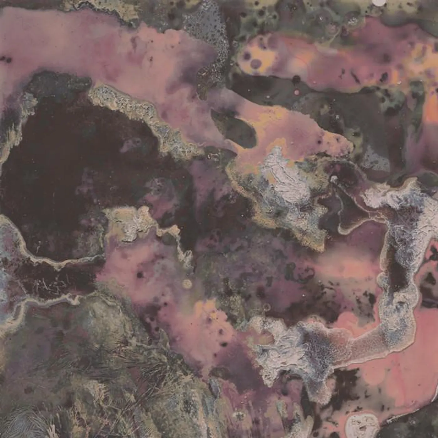 Still Harbours Brand Page