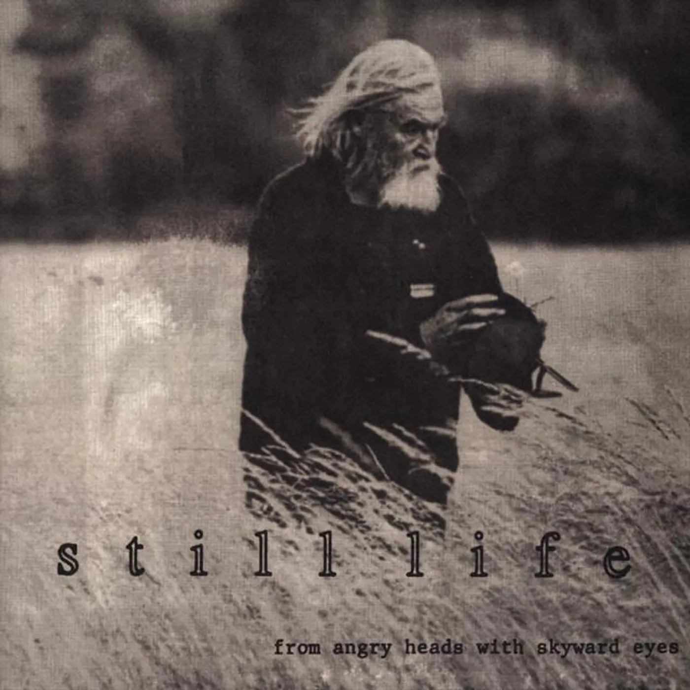 Still Life Brand Page