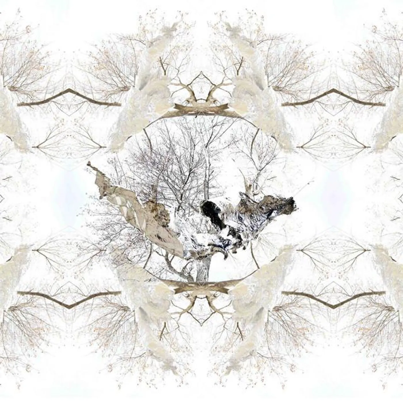 Stolen Silver Brand Page