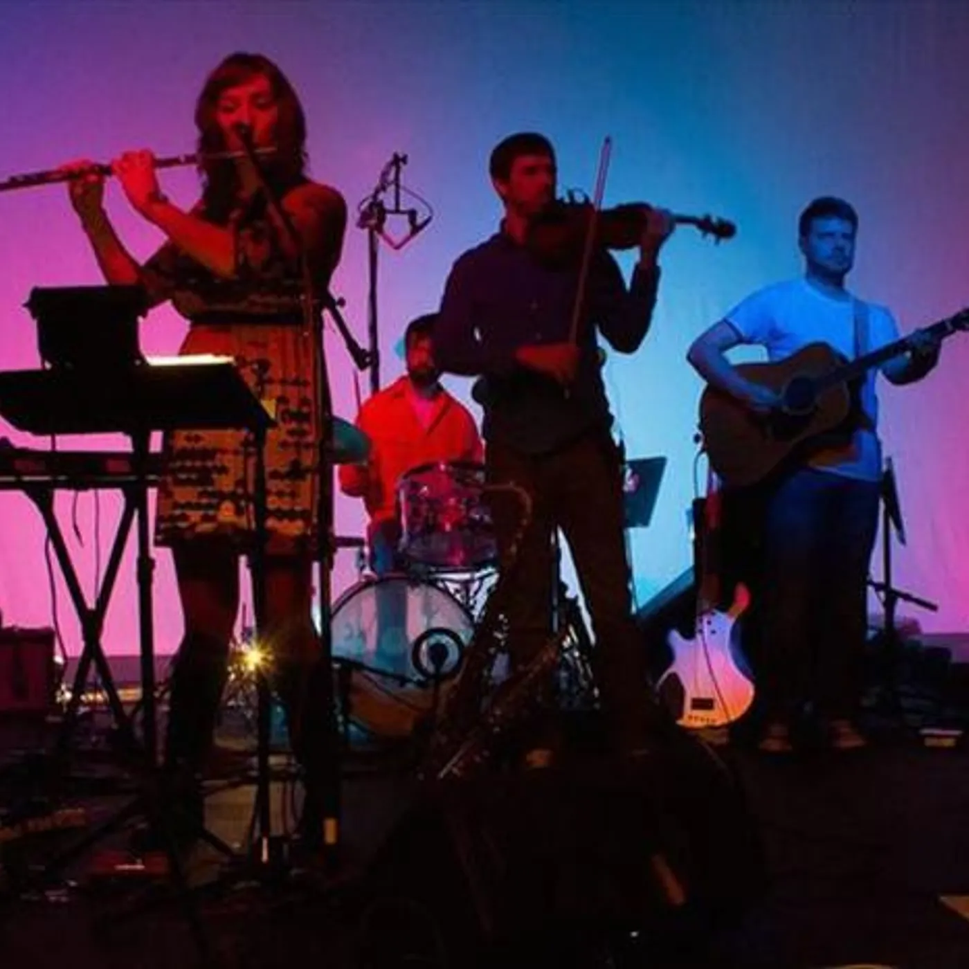 Stop Motion Orchestra Brand Page