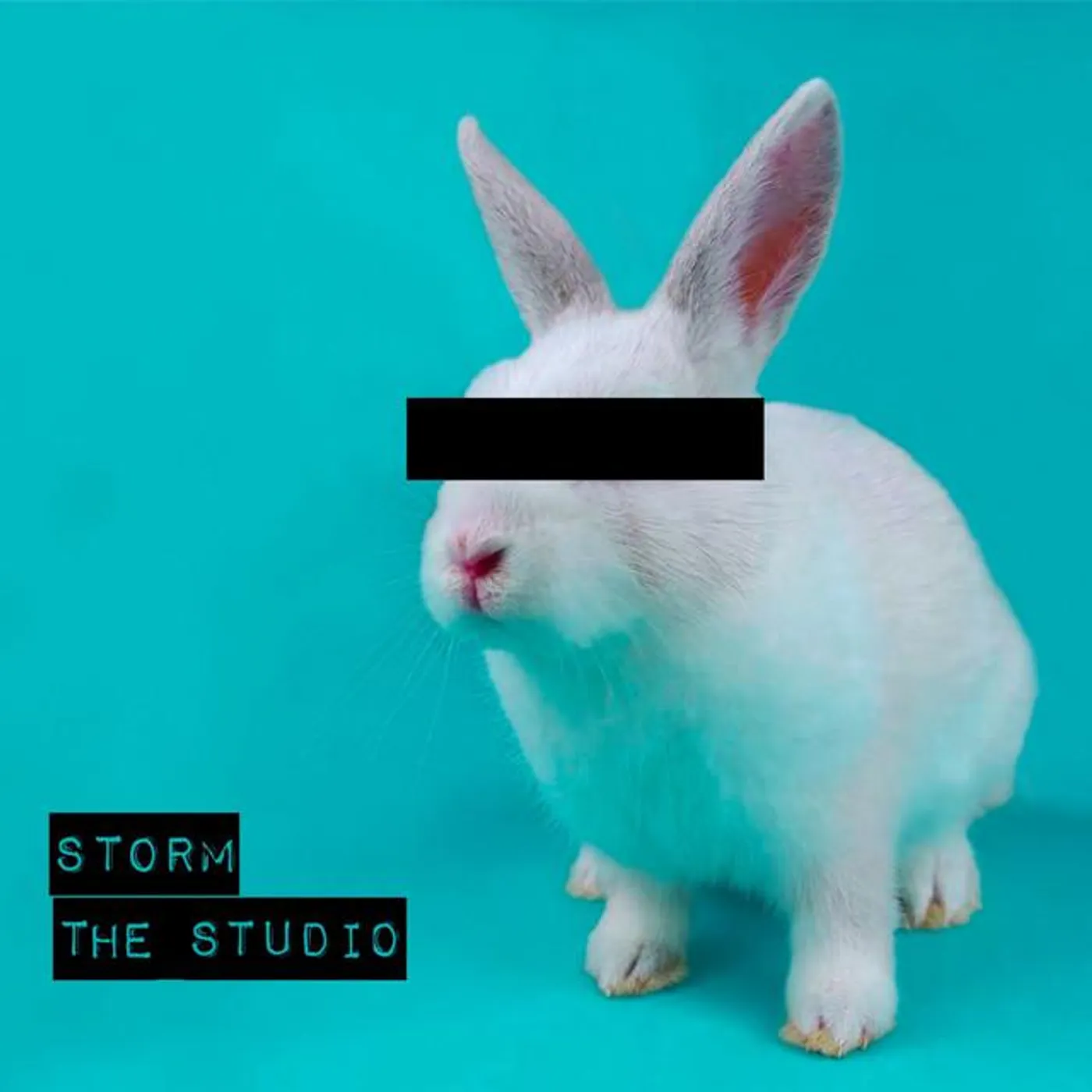 Storm The Studio Brand Page