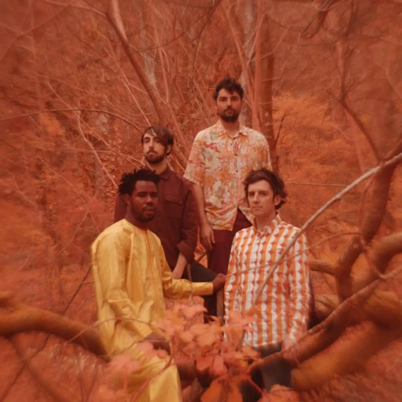 Stranded Horse Brand Page