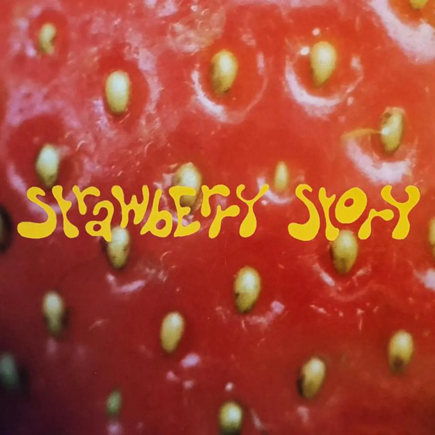 Strawberry Story
