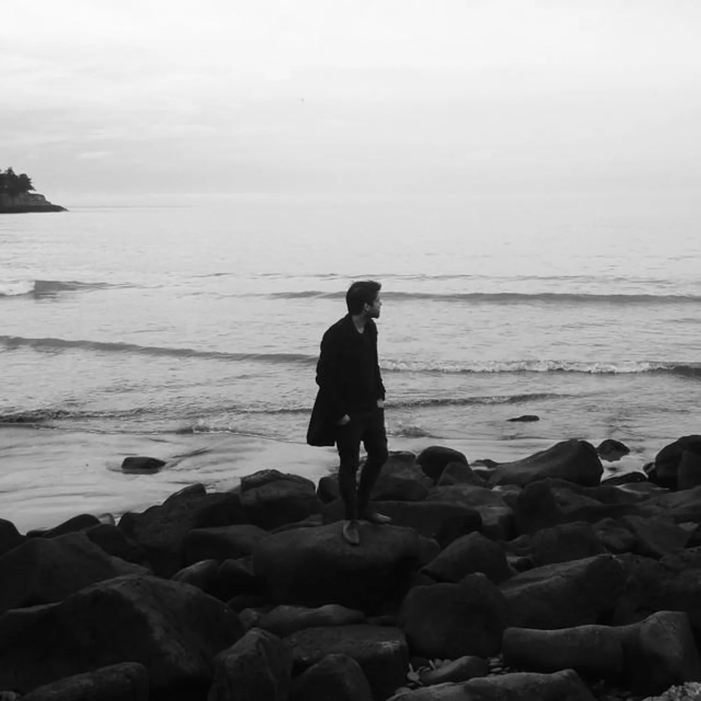 Stray Theories Brand Page