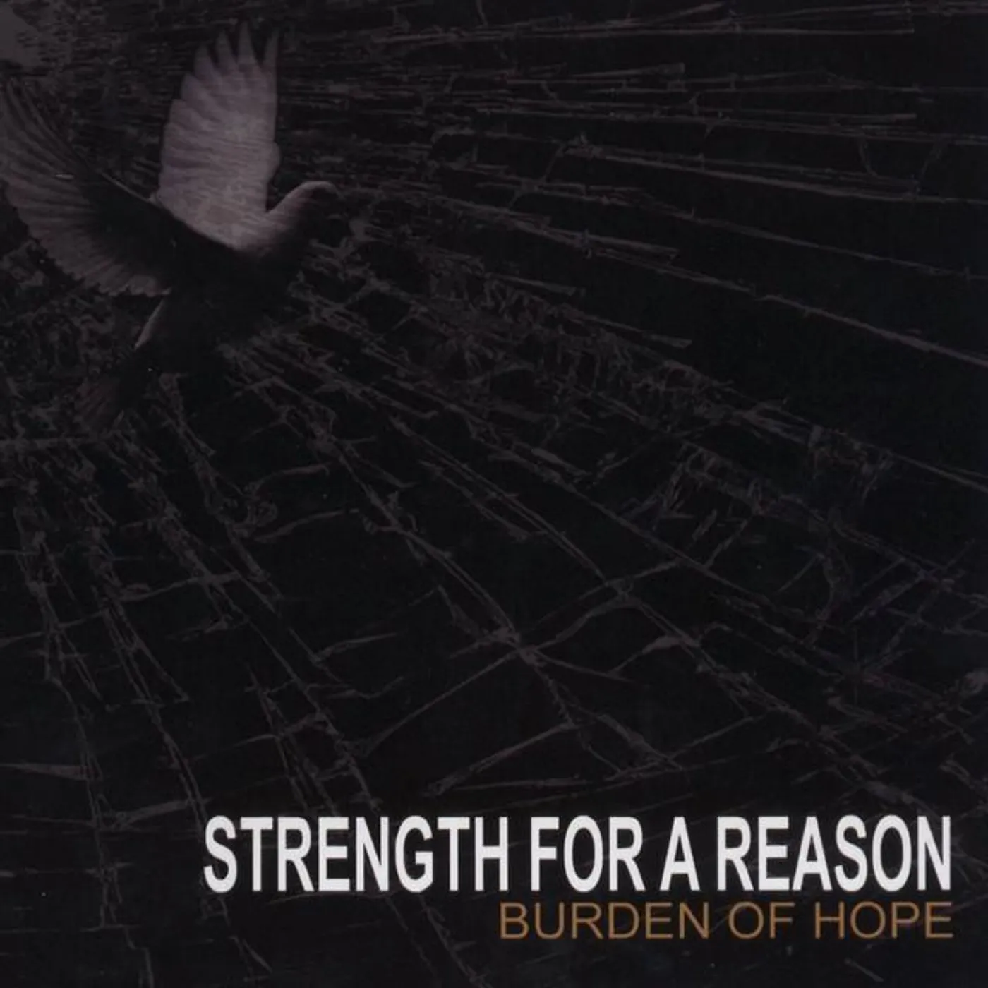 Strength For A Reason Brand Page