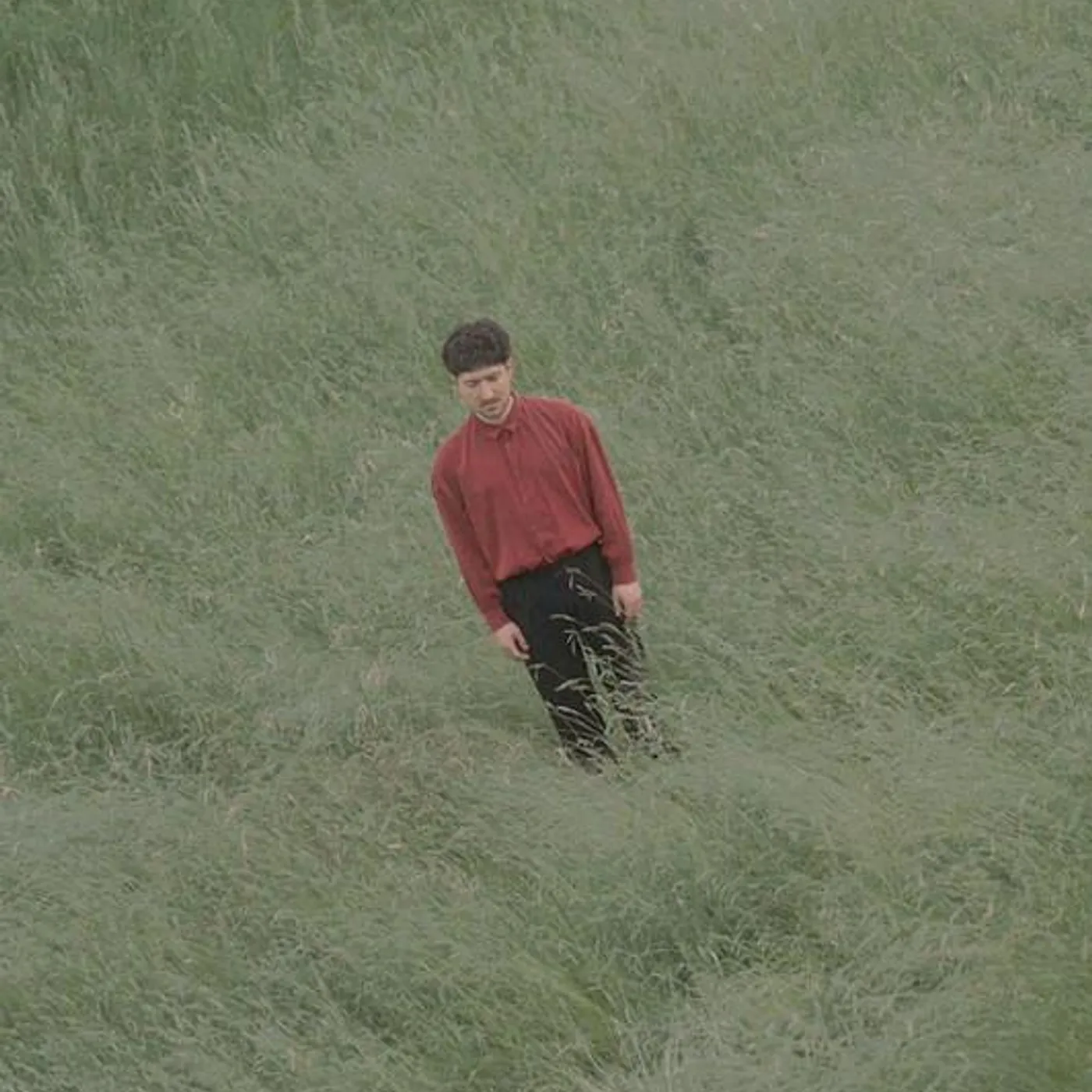 Streichelt Brand Page