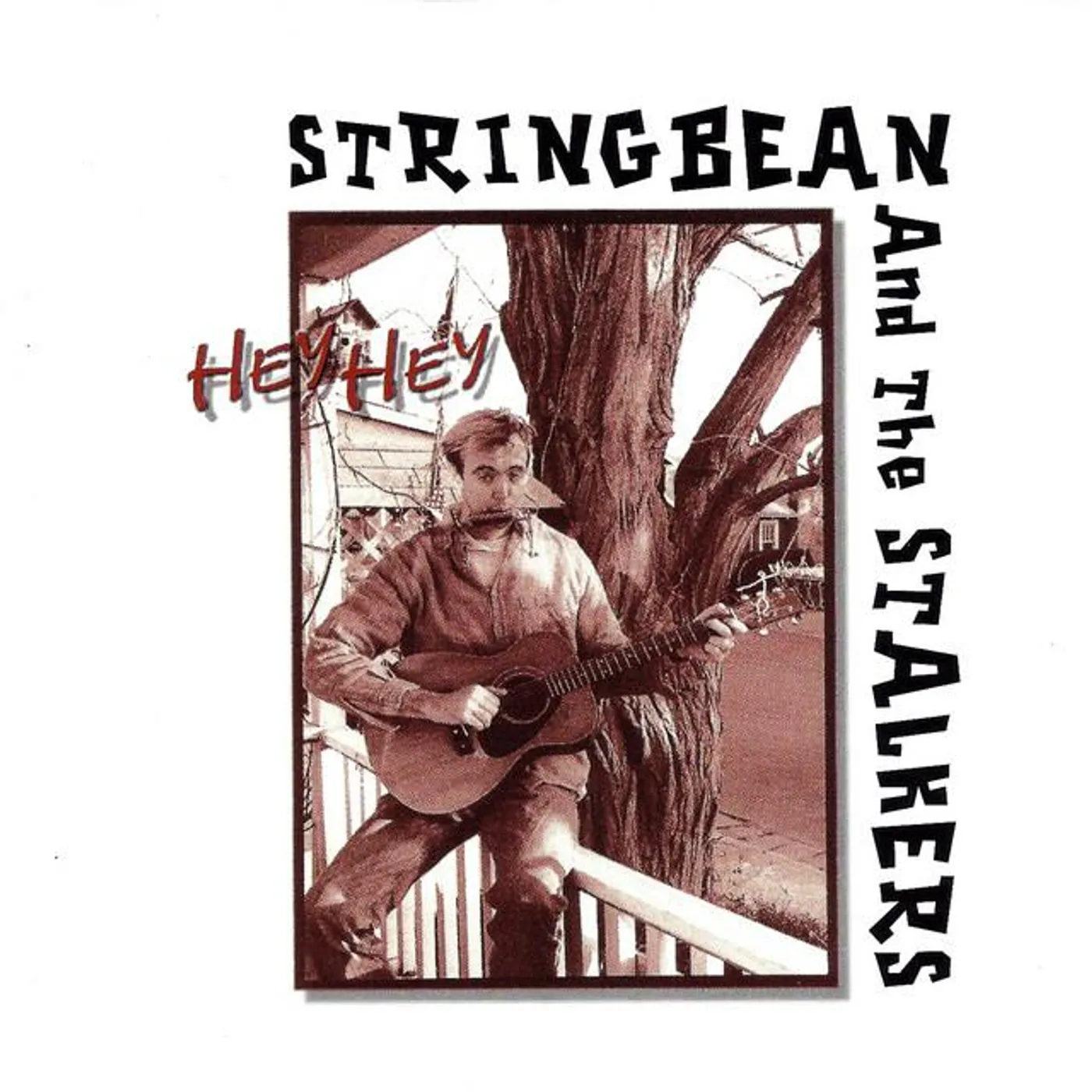 Stringbean and the Stalkers Brand Page