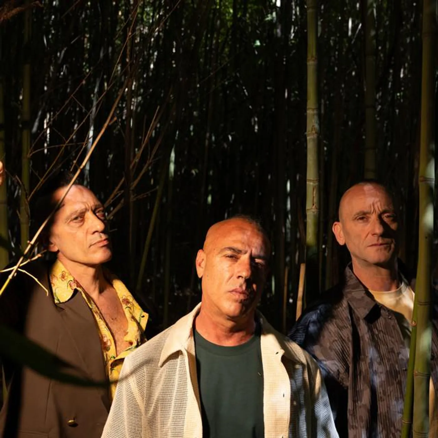 Sud Sound System Brand Page