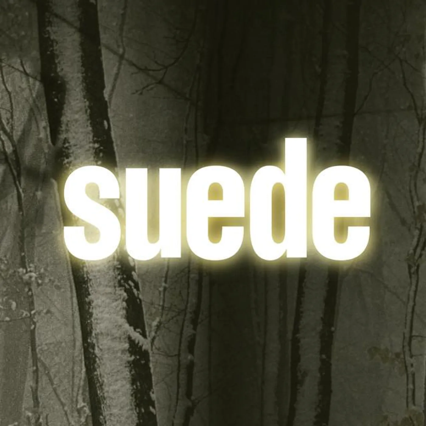 Suede Brand Page