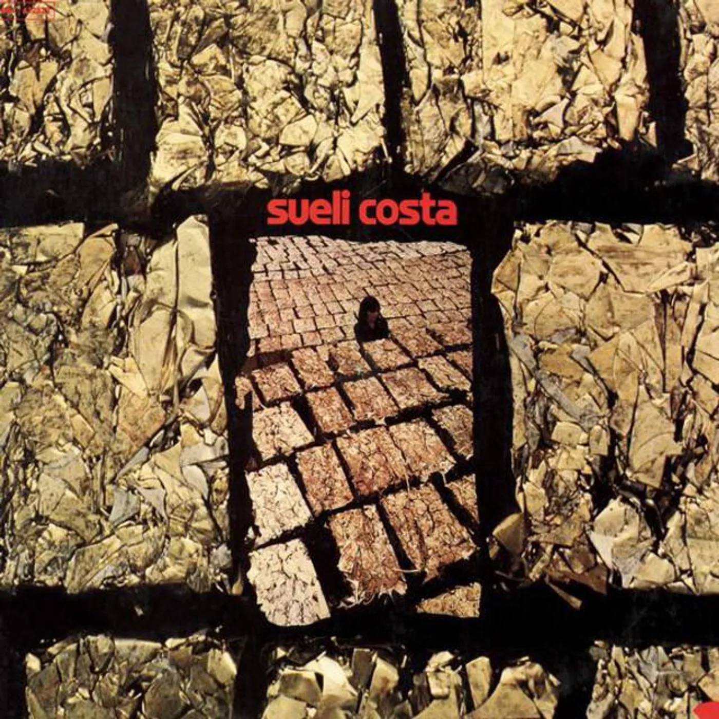 Sueli Costa Brand Page