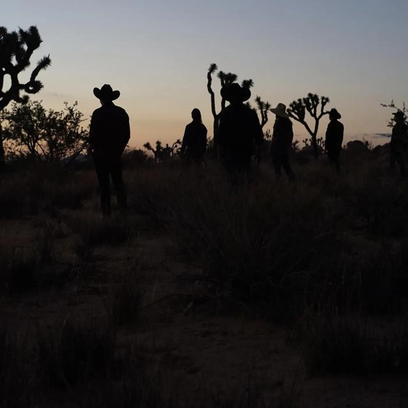 Sugarfoot Brand Page