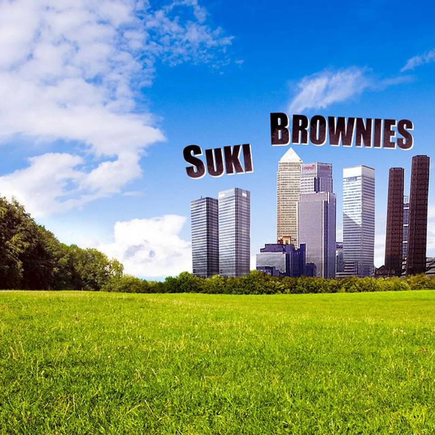Suki Brownies Brand Page