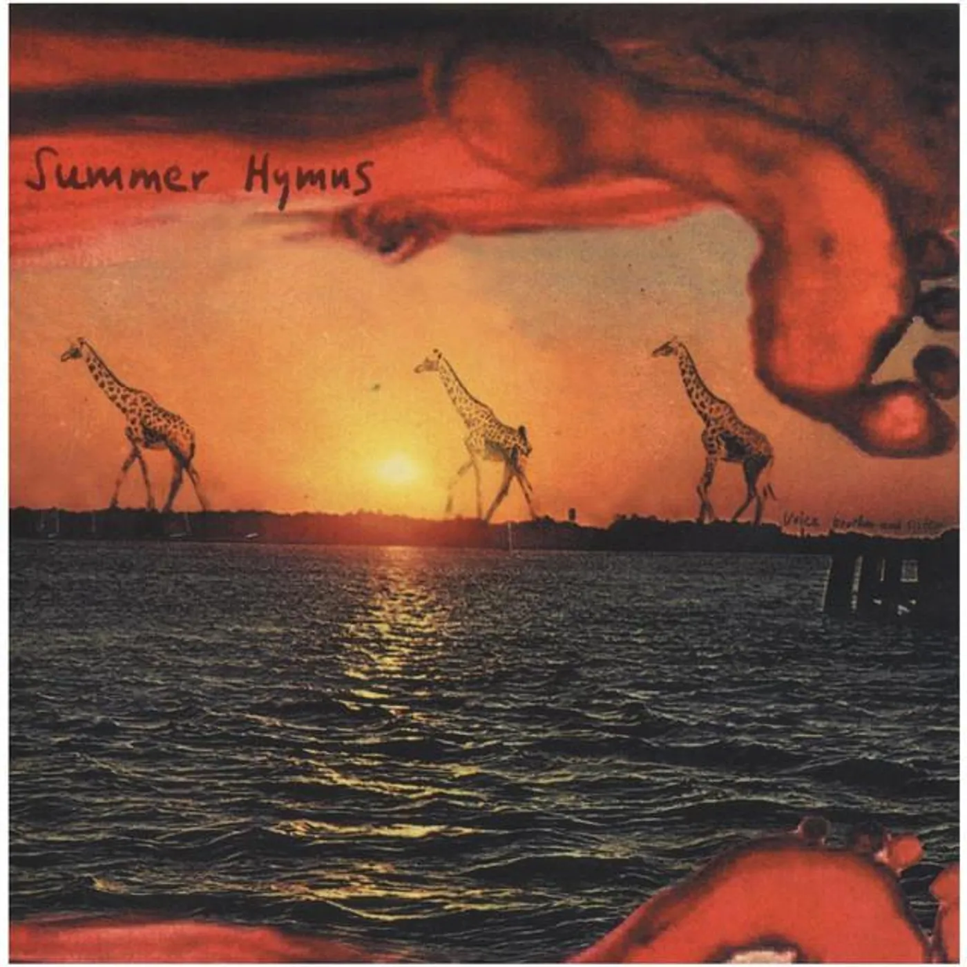 Summer Hymns Brand Page