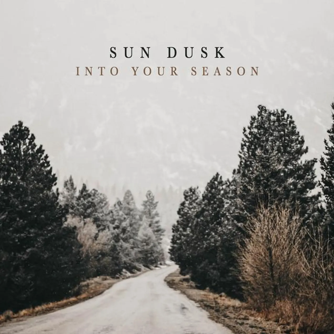 Sun Dusk