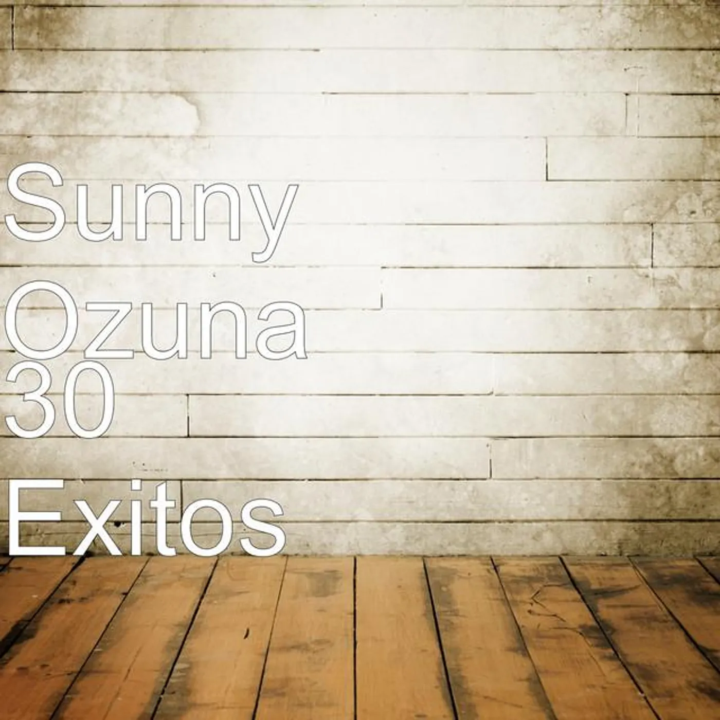 Sunny Ozuna Brand Page
