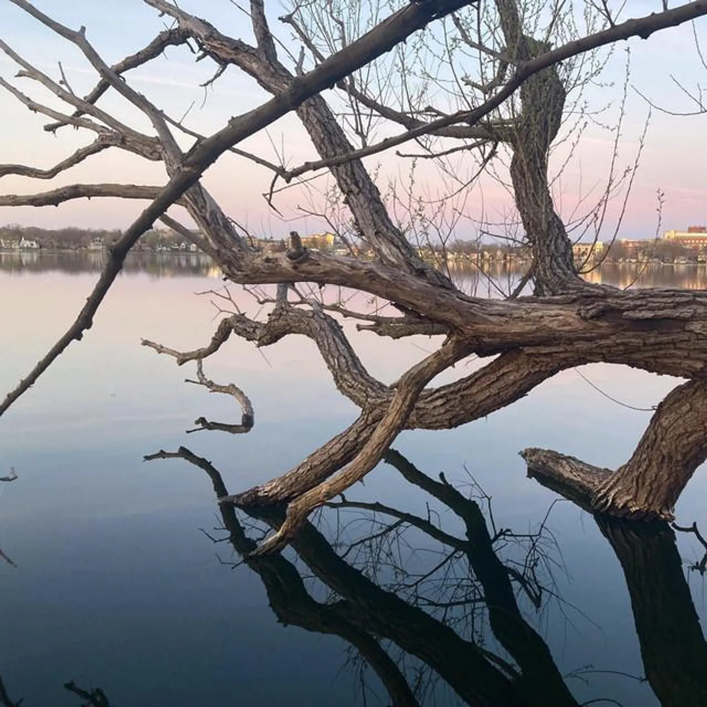 Sunshine For The Blind